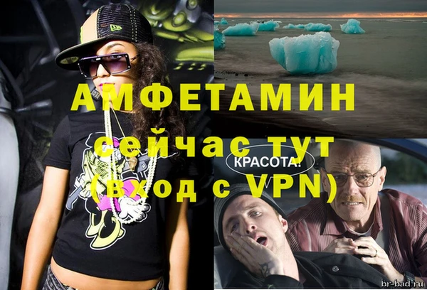 крисы Абаза