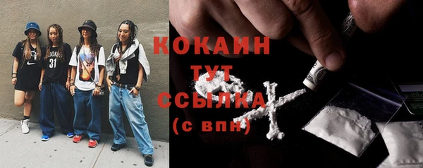крисы Абаза