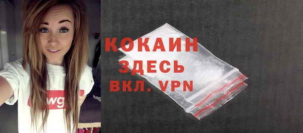 крисы Абаза