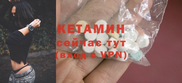 крисы Абаза